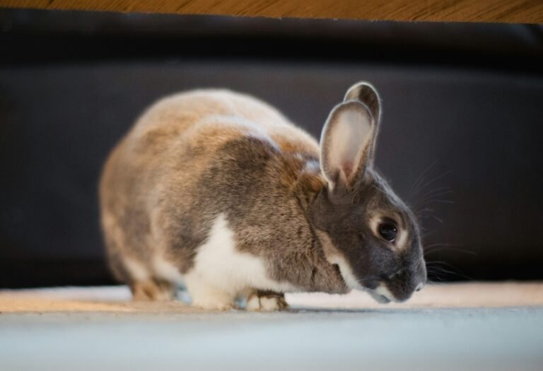 jason-leung-hbEbGz5vXzY-unsplash