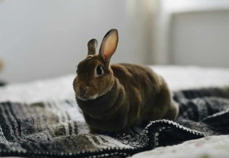 jennifer-chen-h0GbJwpMNiM-unsplash