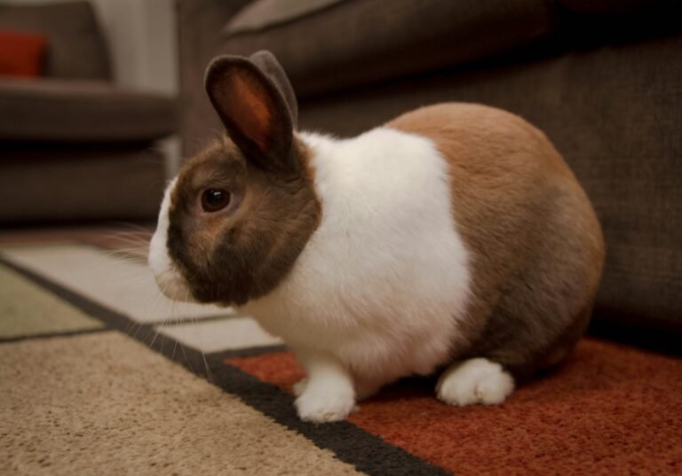 kenny-eliason-ldYjXk8oJ4E-unsplash