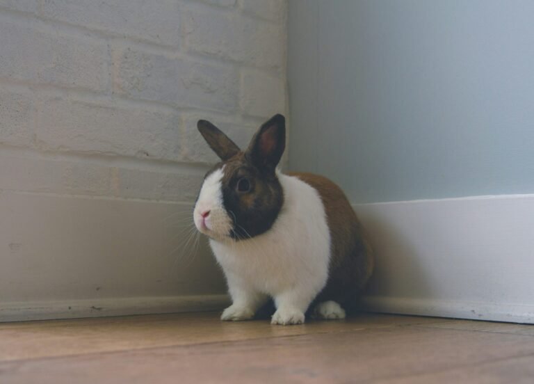 kenny-eliason-psY1CIIFlA8-unsplash