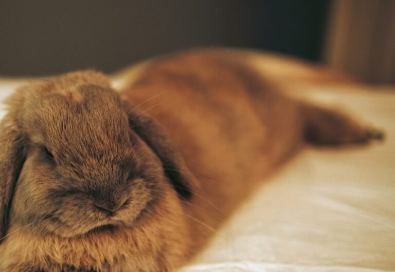 leiada-krozjhen-21ECgy7wzoc-unsplash