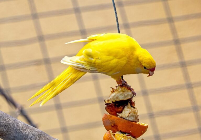 manuel-torres-garcia-FP6meKzW53s-unsplash