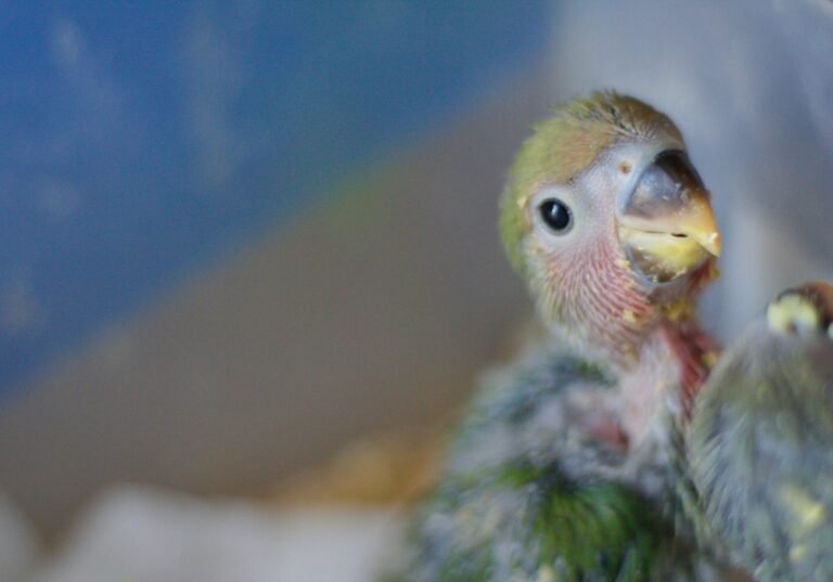 mariano-mollo-5B0Z1ctfU8c-unsplash