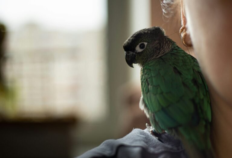 nina-zaychenko-AeeZRSt6cgE-unsplash