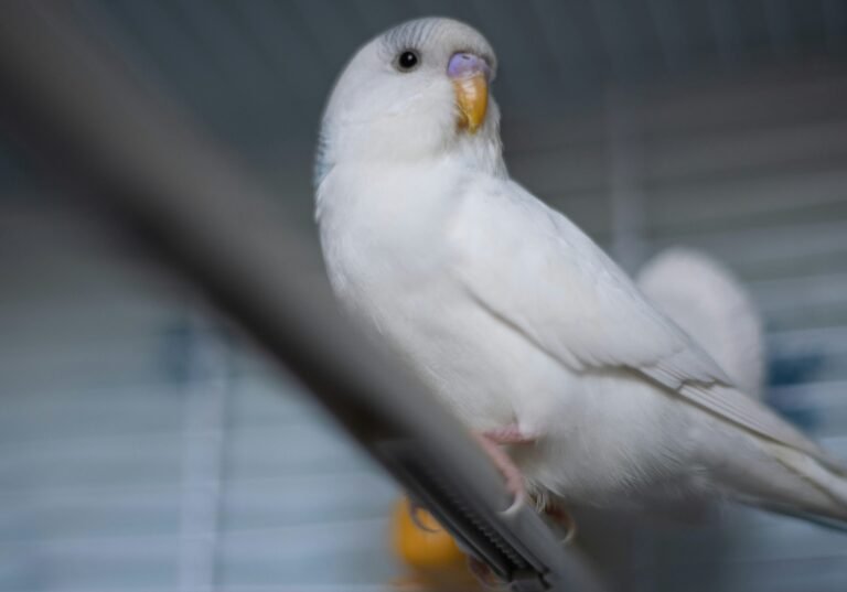 nina-zaychenko-ybXxGnsTMhM-unsplash