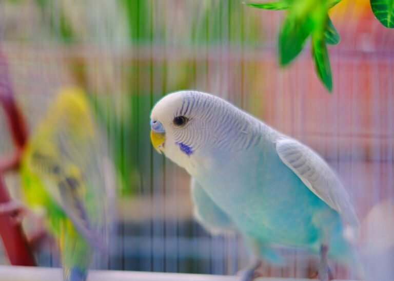 surja-sen-das-raj-uSTIyQV5-R4-unsplash