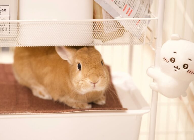 youichiro-ogawa-qtPN06YlSFk-unsplash