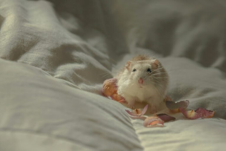 anastassia-anufrieva-C7OUI-rnbes-unsplash