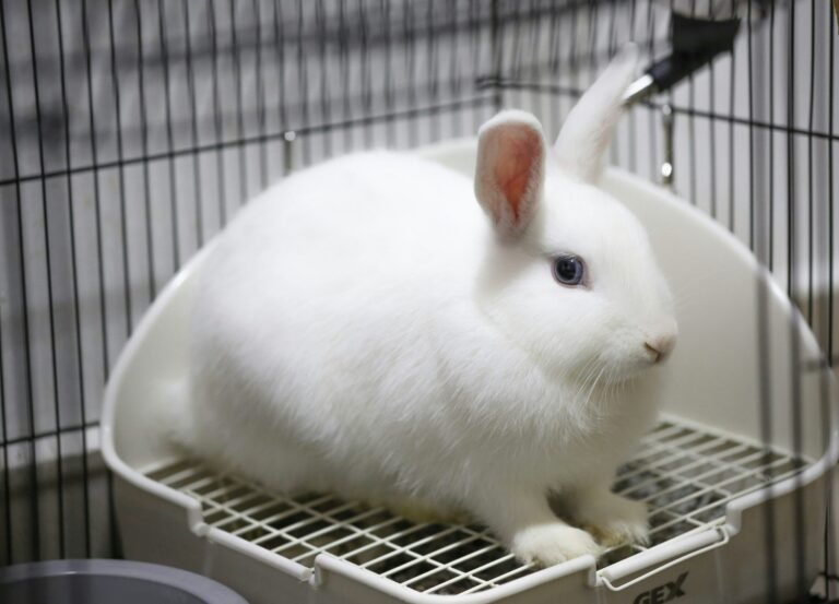 ankur-madan-zeyXUZEJK7c-unsplash