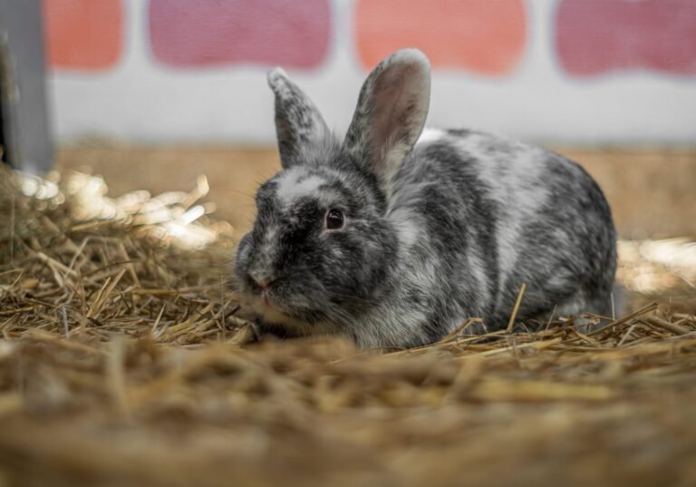 howard-senton-ncctkGF9_zM-unsplash