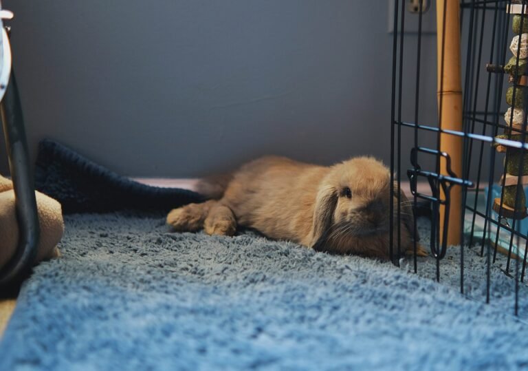 leiada-krozjhen-B9pcBL6Rj5c-unsplash