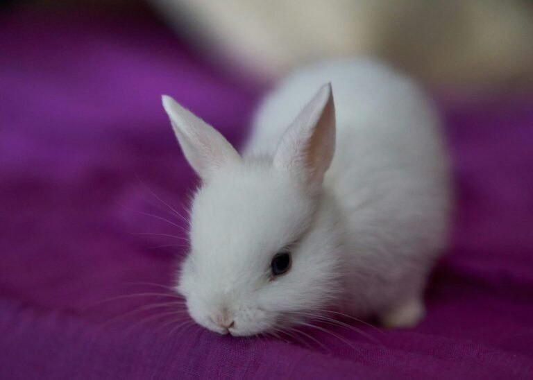 pablo-martinez-eXLCx0XBaUE-unsplash