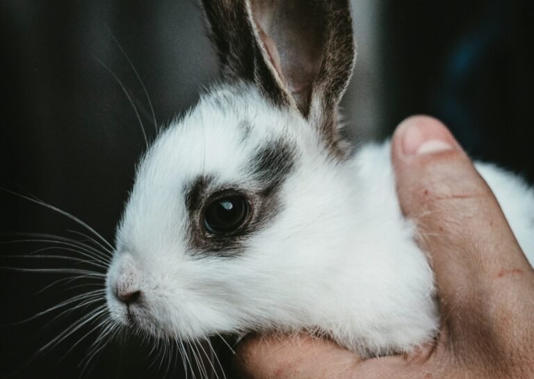 pure-julia-8W734zGUcKU-unsplash