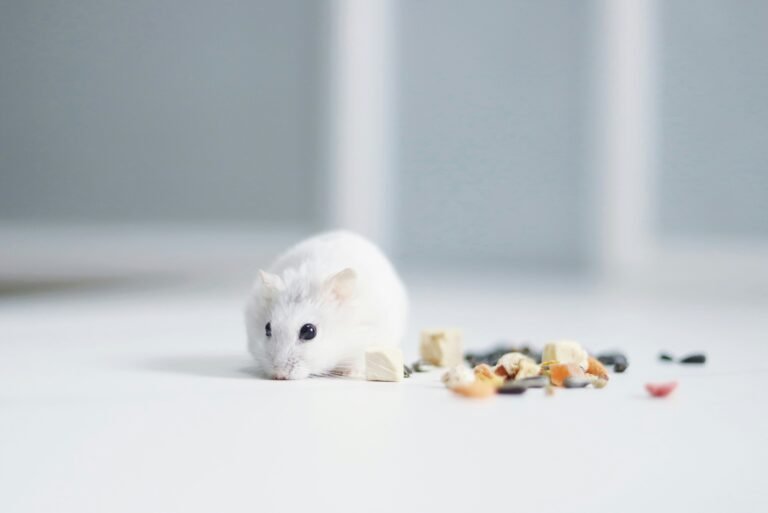 raychan-8IW8f37QAYA-unsplash