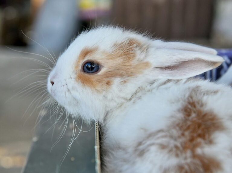 sergey-semin-cSxU1jFg_m0-unsplash