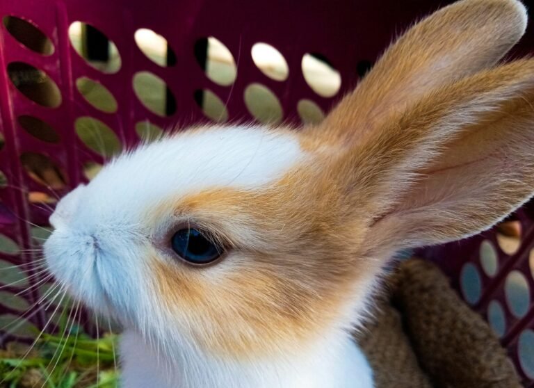 vishal-parmar-TEWOkToixB4-unsplash