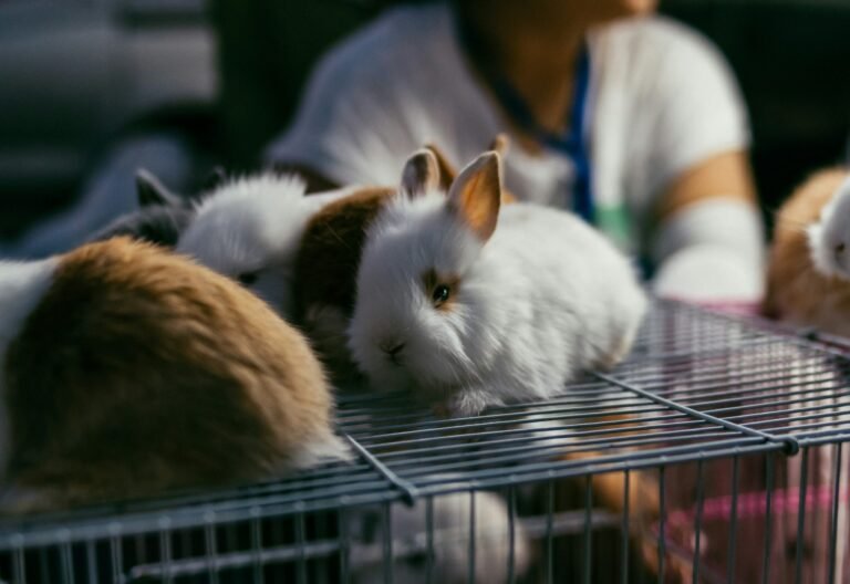 wu-yi-eXBKJgefOVs-unsplash