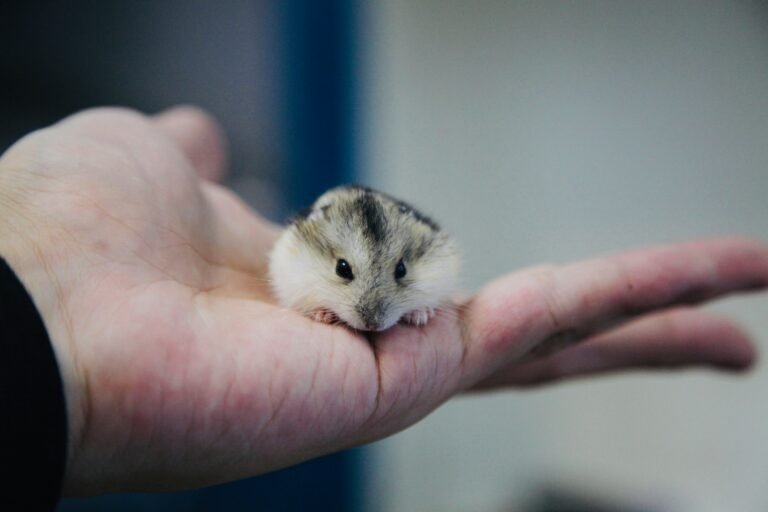 yuezhi-chen-gQhVKVxXzoY-unsplash