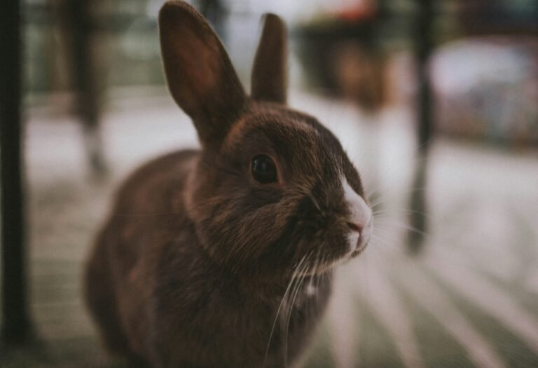 zach-wolf-351BvxjZYcI-unsplash