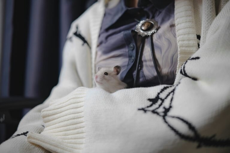 zhaoli-jin-mkzDcVkZToo-unsplash