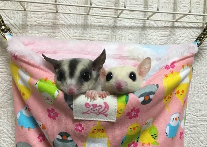 _ - 2026-01-02T125455