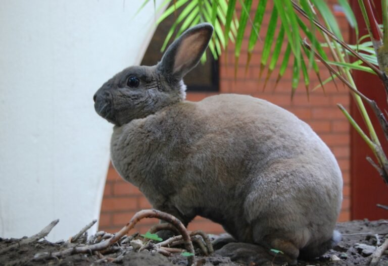 alessandra-pashanase-NfkLecE4FCY-unsplash