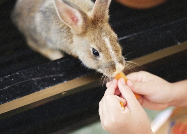 alexey-demidov-Nm5wL6UddoY-unsplash