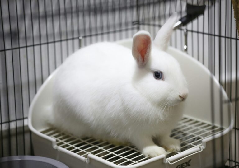 ankur-madan-zeyXUZEJK7c-unsplash (1)