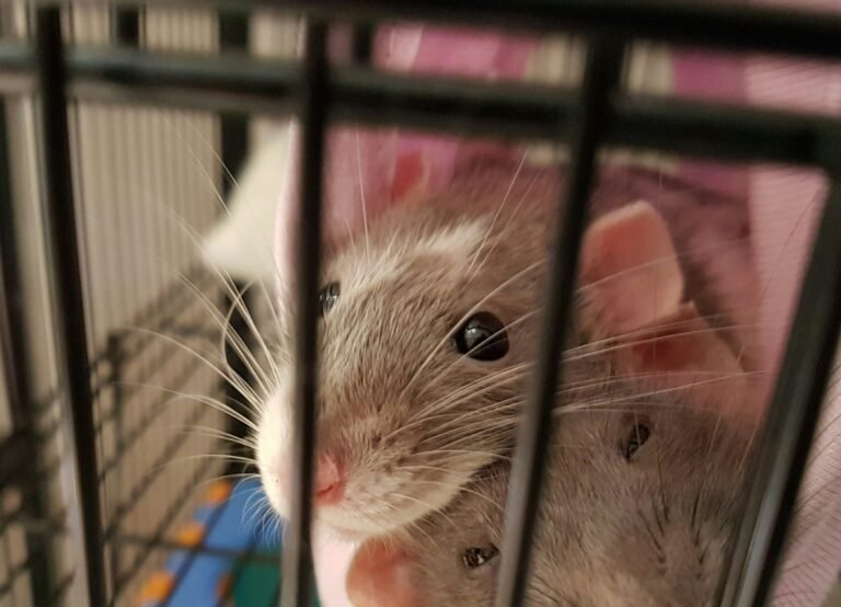 annemarie-horne-iSLL5DAS1OQ-unsplash