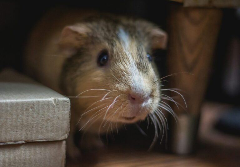 bonnie-kittle--MLCLFc01Uo-unsplash