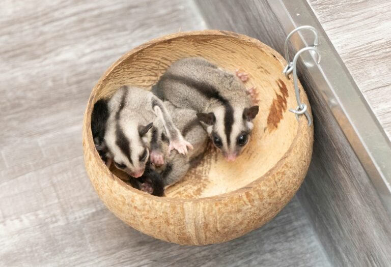 d-ng-ph-c-h-i-tri-u-EgLOL6mxOMc-unsplash