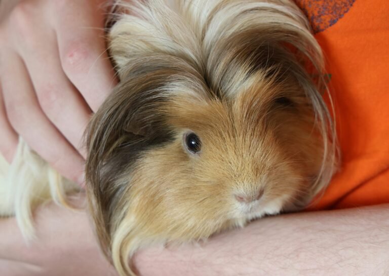 derailed-drips-Q4BYrvucSOE-unsplash