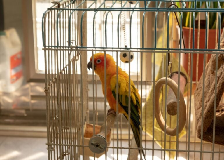 freya-yanggg-yang-QDR2s-eaZ54-unsplash