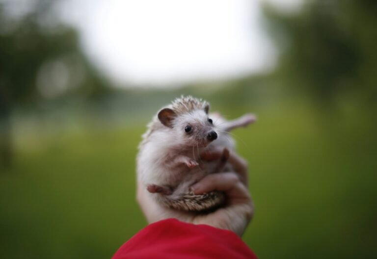 galya-chikunova-5-ybj60CNFs-unsplash