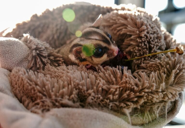 henry-lai-DMqSMHlbwlo-unsplash