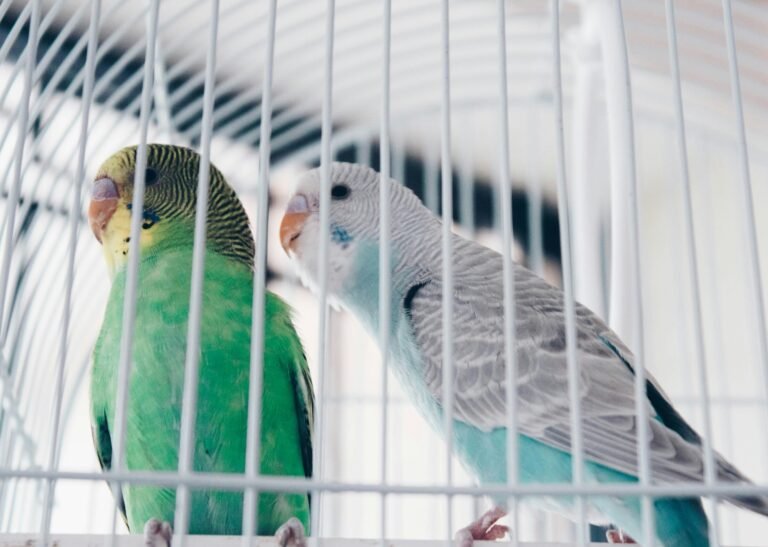 honey-yanibel-minaya-cruz-HcKks8pney4-unsplash