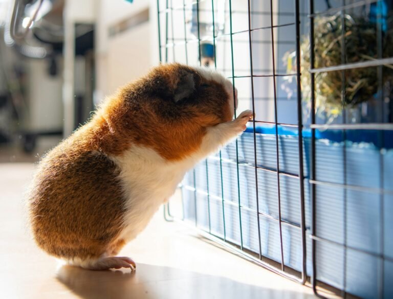 jaroslaw-slodkiewicz-FPJu-3s37Hg-unsplash