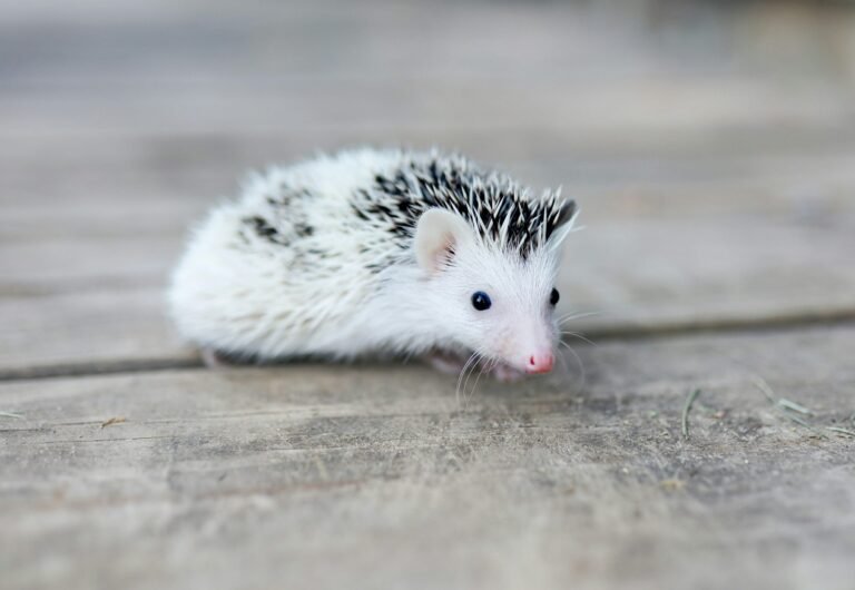 laura-ohlman-iXF3WAjlOPM-unsplash