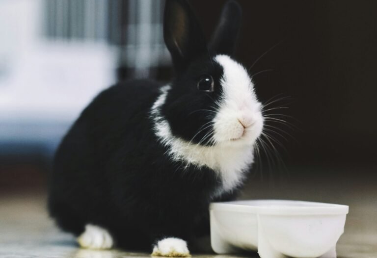 li-yan-3m4it24gFSg-unsplash