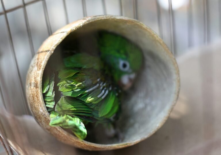 lisa-simenz-vera-zhlpMwErMhk-unsplash (1)