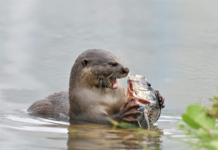 mark-stoop-_vmbOL60z1g-unsplash