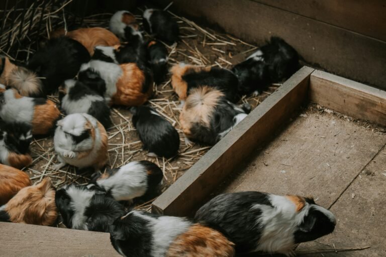 marlene-haiberger-qZ_UeHRtC2M-unsplash