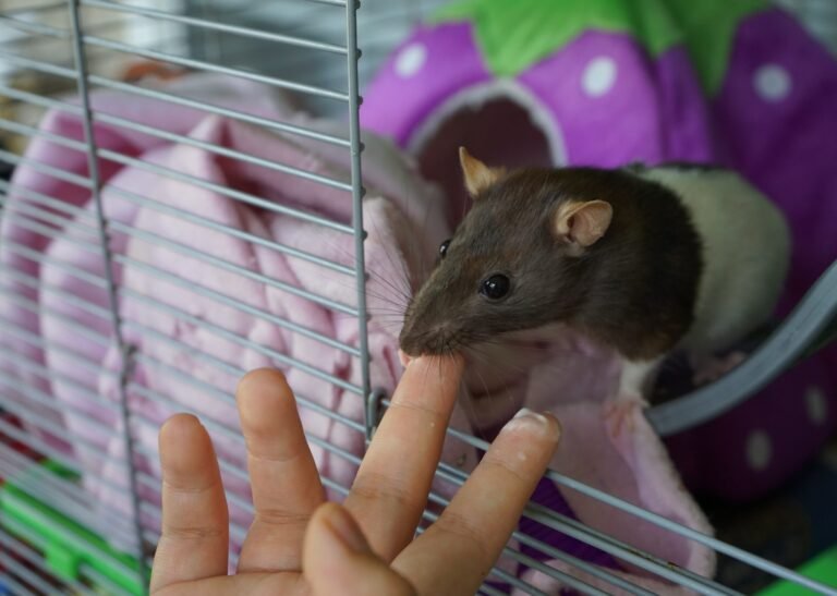 may-M01S_blJ7rE-unsplash