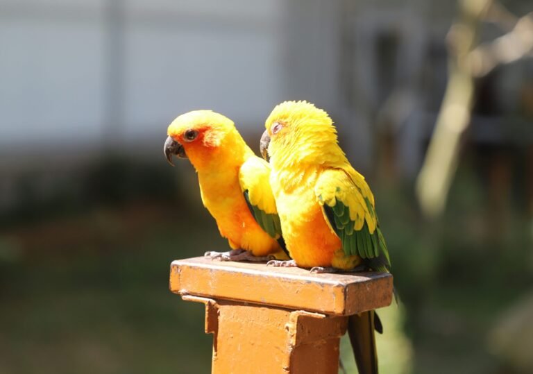 saravana-kumar-V0AjHMdwXAo-unsplash