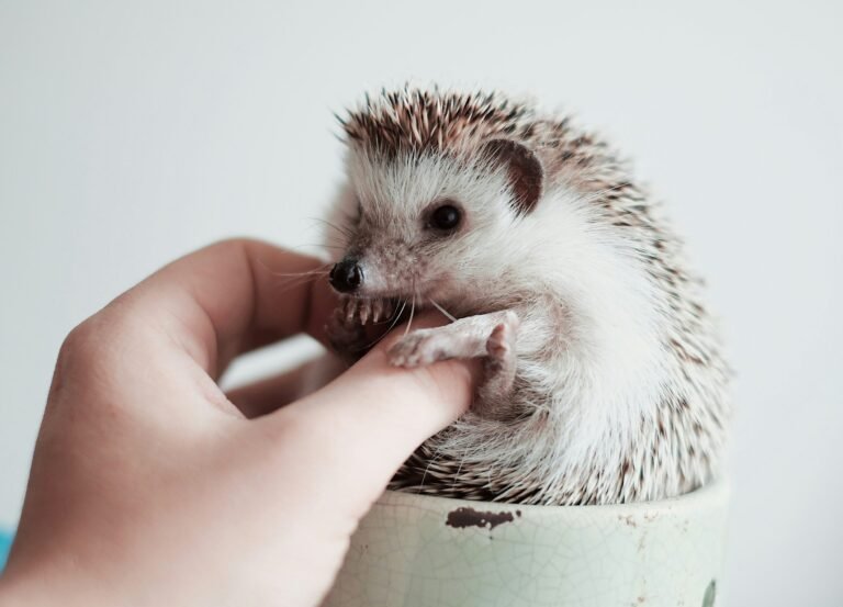 siem-van-woerkom-k_E7DpVgftw-unsplash