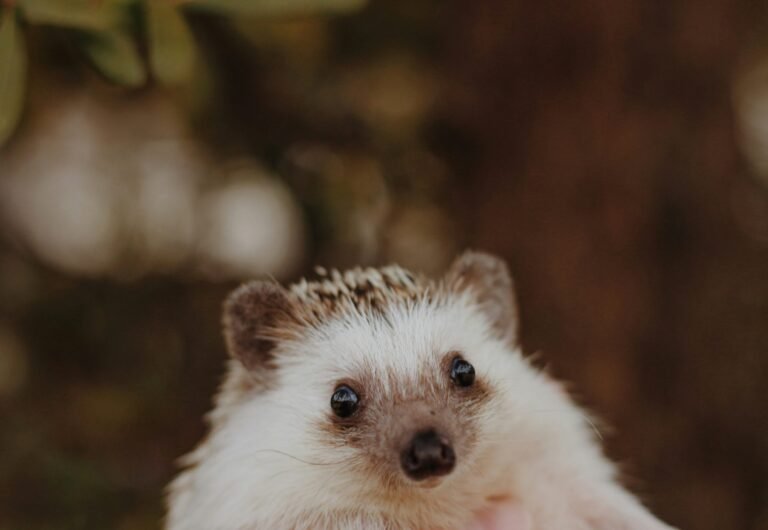 sierra-nicole-narvaeth-QWELA5fl1KY-unsplash