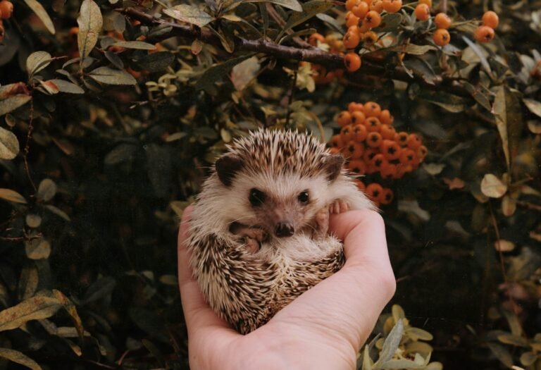 sierra-nicole-narvaeth-aM7r5lqKhiY-unsplash