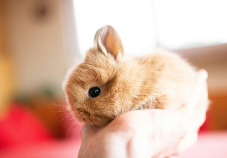 simon-kessler--wBNTe62beY-unsplash