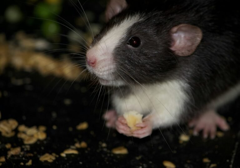 studio-37-OouWVuM6eAE-unsplash