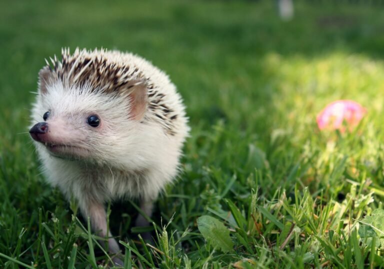 sylvie-brindley-QvHJ_X59tDY-unsplash